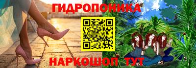 а пвп мука Ачхой-Мартан